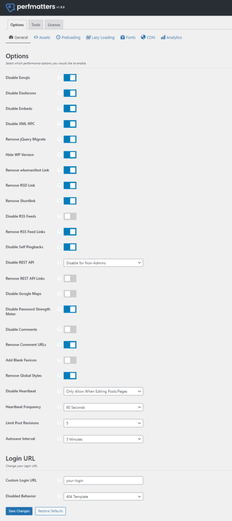 Perfmatters General Settings