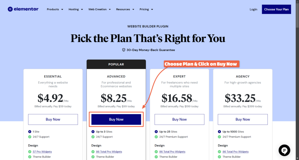 Elementor Pro Plugin Pricing 2024