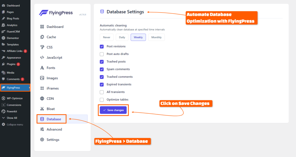 Automate Database Optimization with FlyingPress