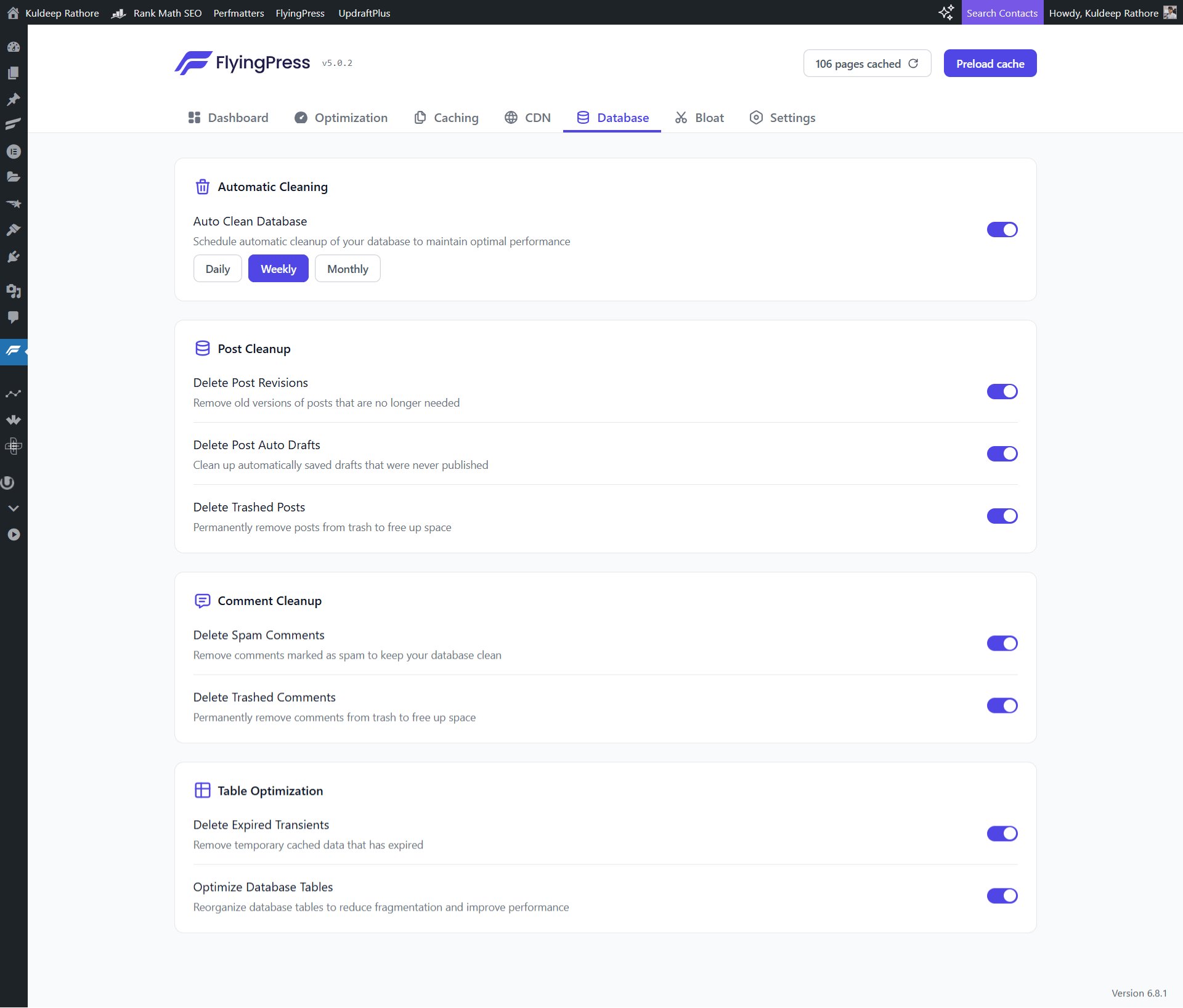 FlyingPress Settings - Database Settings