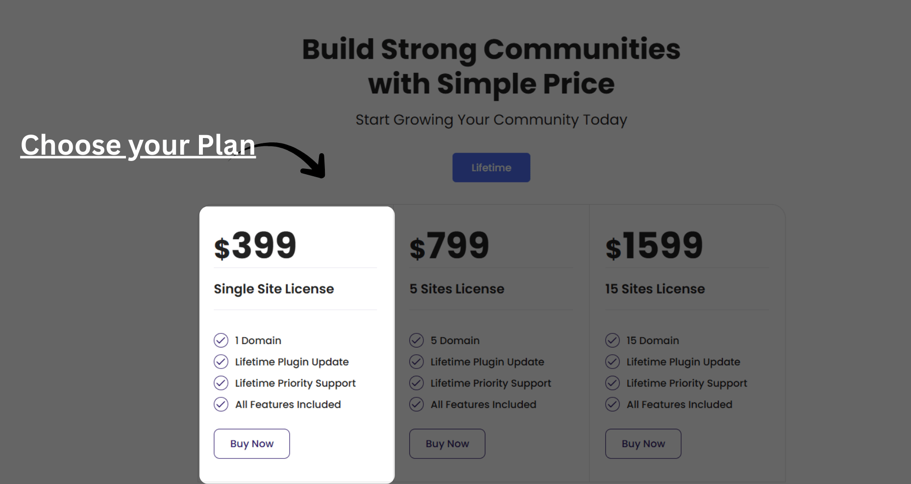 Fluent Community Lifetime Pricing Plans